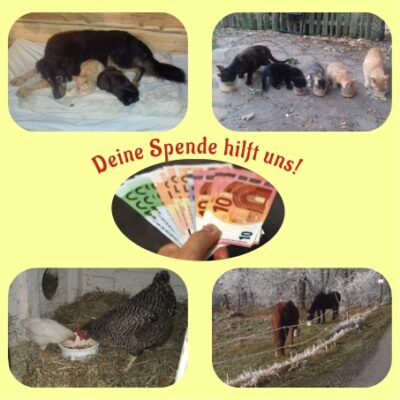 Spendenaufruf für Tierschutz naturbelassen der THP Starke