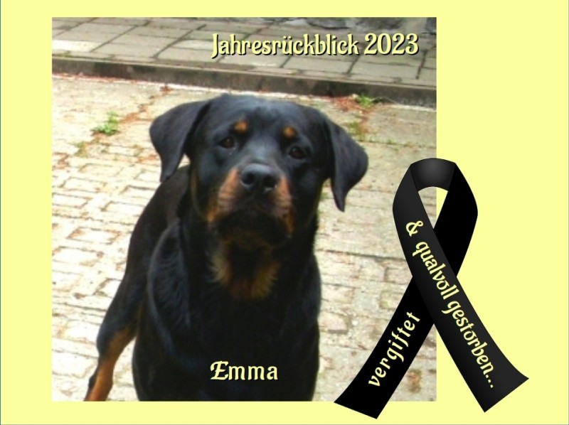 Rottweiler Emma, vergiftet und qualvoll gestorben