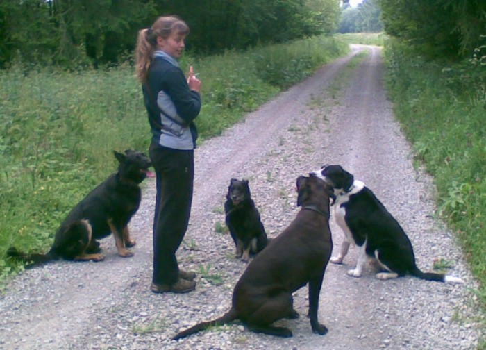 Jenni Starke mit 4 Hunden in der Natur ohne Leine