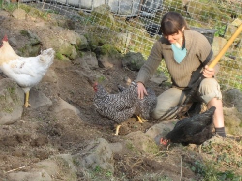 Jenni Starke arbeitet mit Hühnern zusammen auf dem Beet