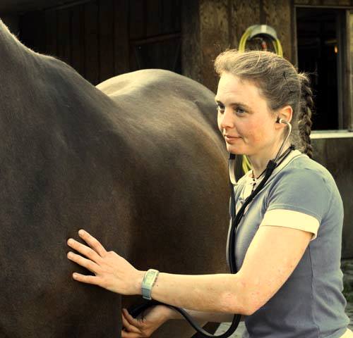 Tierheilpraktikerin Jenni Starke hört ein Pferd mit dem Stethoskop ab
