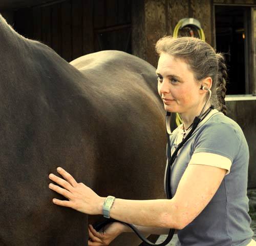Jenni Starke 8 Tierheilpraktikerin Jenni Starke hört ein Pferd mit dem Stethoskop ab