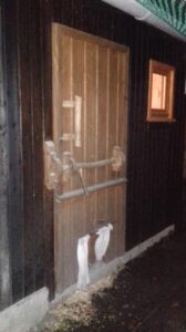 Urige Holztür im Winterhühnersatll